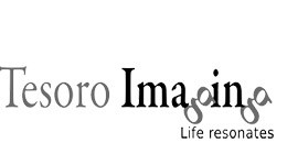 Logotipo de Tesoro Imaging